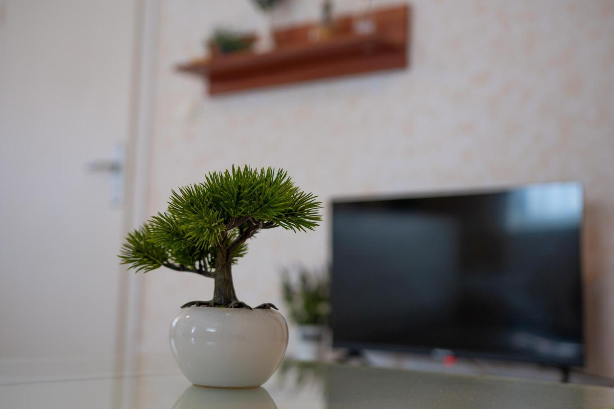 Apartments & Rooms Toni Split Luaran gambar